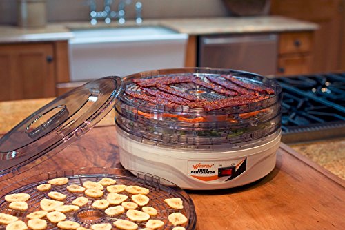 Weston Fruit & Veggie Dehydrator 4 Tray Gray for Home Use in Fall & Winter Holidays Healthier Snacks